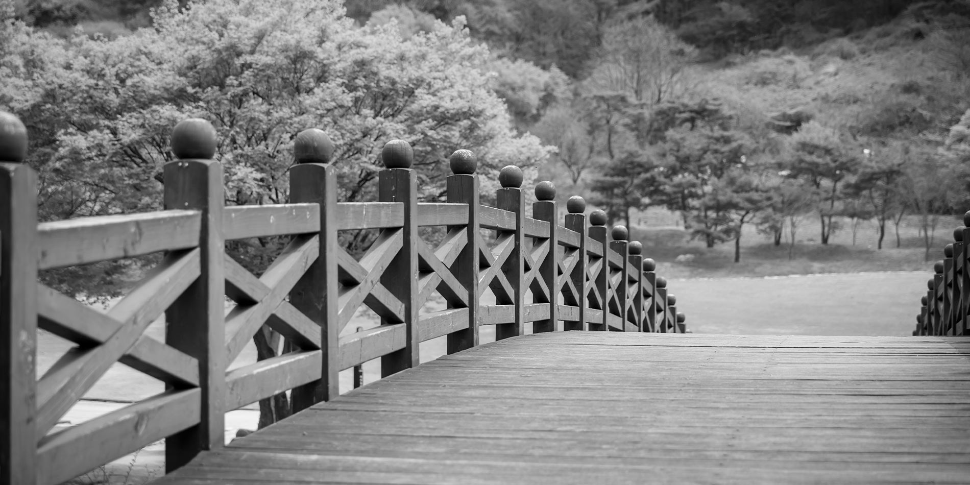 Wooden Bridge
