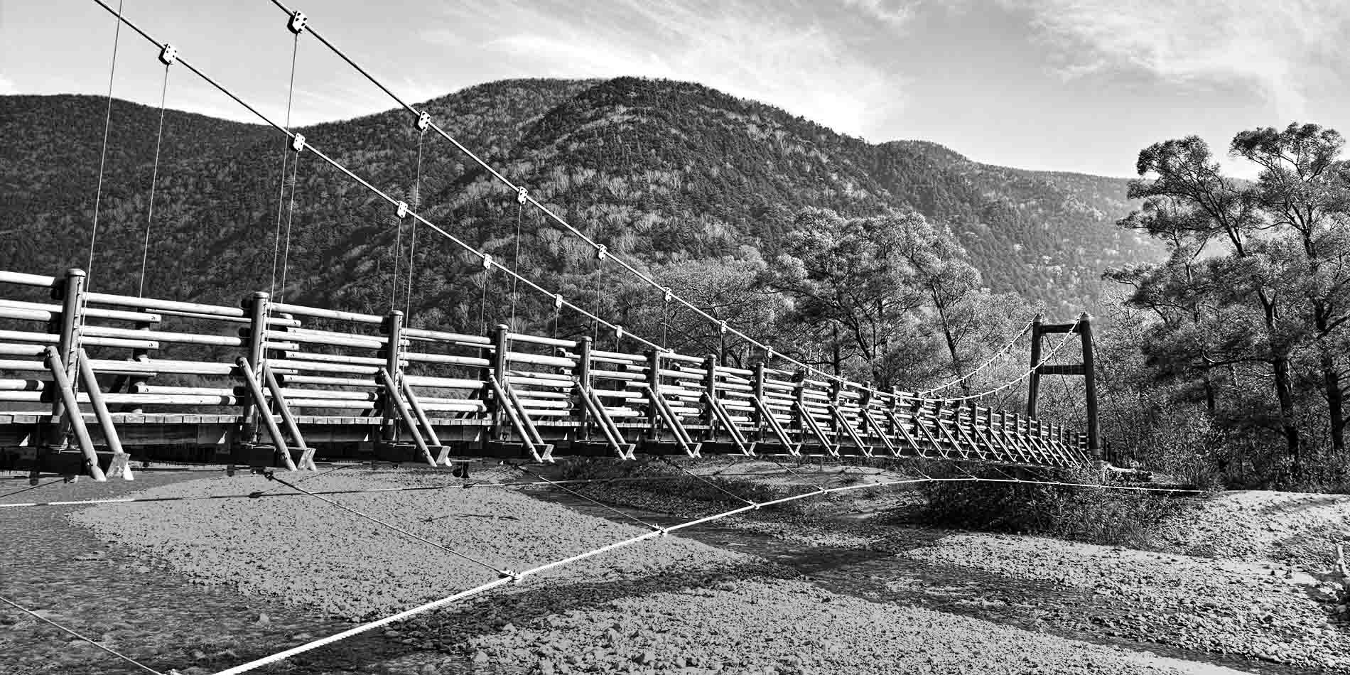 Walking Bridge